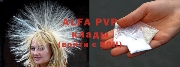 дурь Карпинск