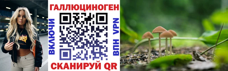 Галлюциногенные грибы GOLDEN TEACHER  наркошоп  Красноярск 