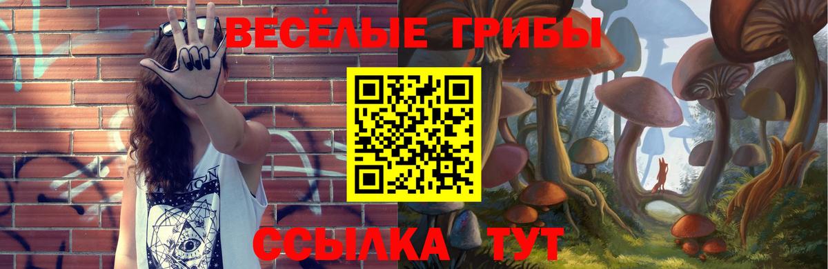 Красноярск  Псилоцибиновые грибы Magic Shrooms  Вход с VPN  Псилоцибиновые грибы мухоморы 